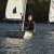Martinsregatta II (Laser)