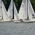 Einhandregatta