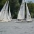 Einhandregatta