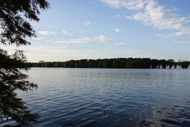 Martinsregatta 2014 (470er)