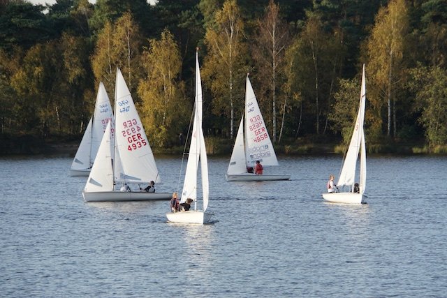 Martinsregatta 2014 (470er)