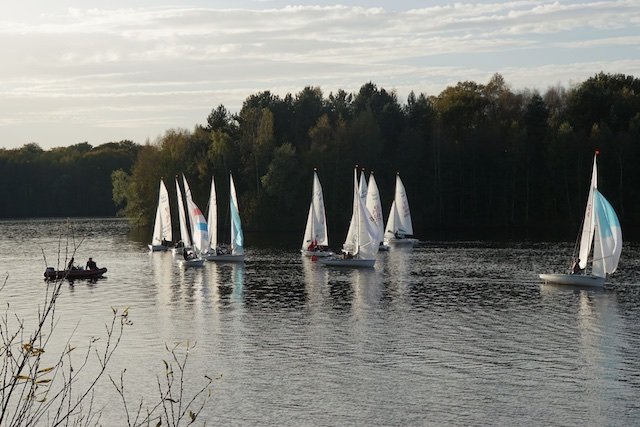 Martinsregatta 2014 (470er)