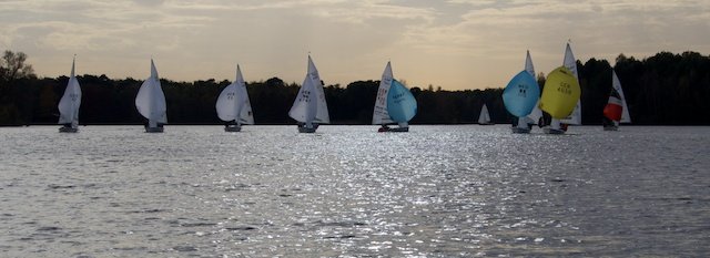 Martinsregatta 2014 (470er)