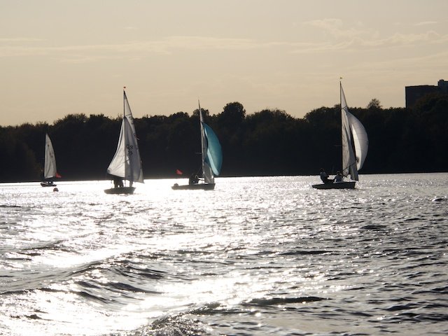 Martinsregatta 2014 (470er)