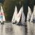 Martinsregatta 2014 (470er)