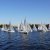 Martinsregatta 2014 (470er)