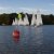 Martinsregatta 2014 (470er)