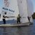 Martinsregatta 2014 (470er)