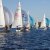 Martinsregatta 2014 (470er)