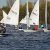 Martinsregatta 2014 (Laser)
