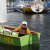 2016_du_segelt_image042