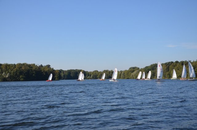 Einhandregatta