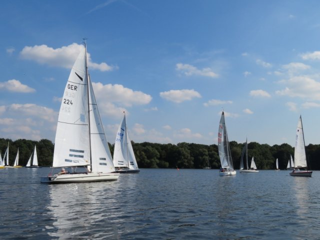 Einhandregatta