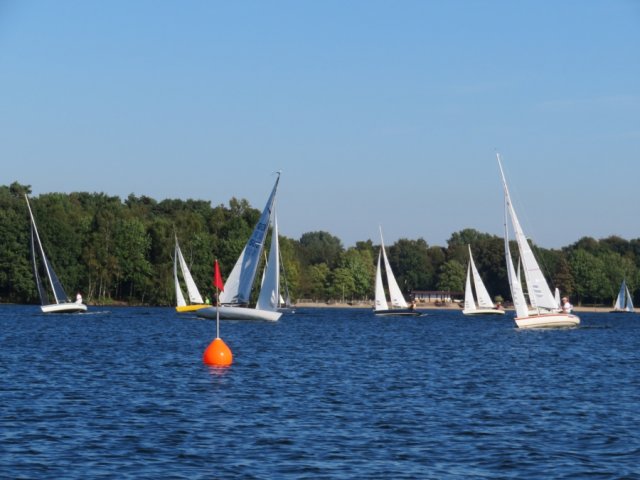 Einhandregatta