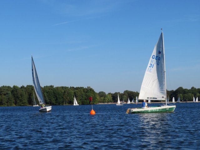 Einhandregatta