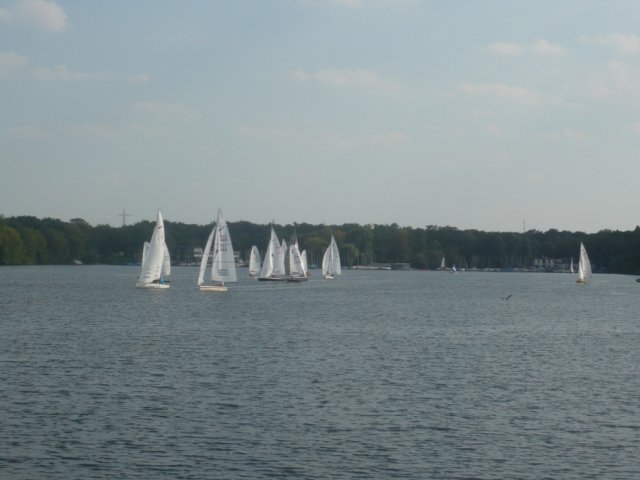 Einhandregatta