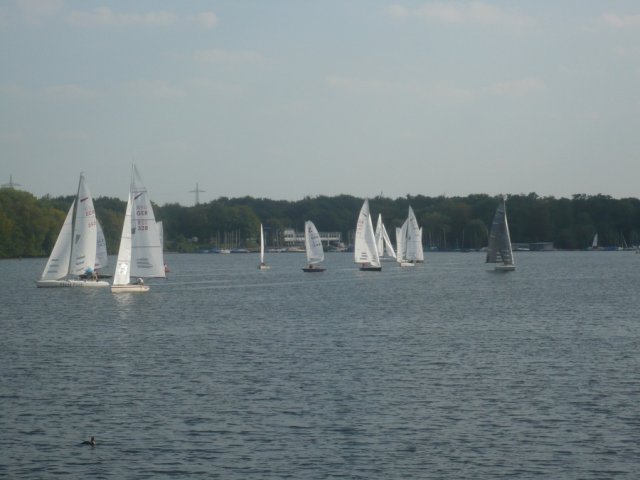 Einhandregatta