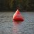 Martinsregatta I (470er)