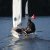 Martinsregatta I (470er)