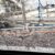 2016_lasertraining_nl_173