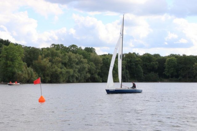 Einhandregatta