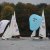 Martinsregatta I (470er)