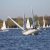 Martinsregatta II (Laser)