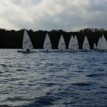 Martinsregatta Laser